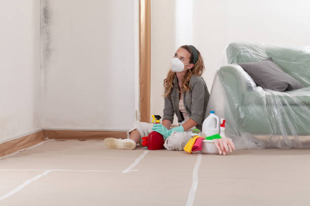 Reliable Black Mold Remediation contractor in Glen Burnie, MD by 24 Hour Mold Removal